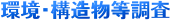 E\